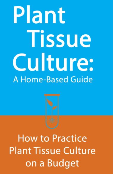 Plant Tissue Culture: A Home Based Guide How to Practice Plant Tissue Culture on a Budget