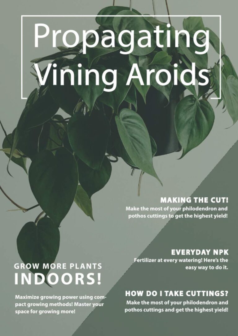 Propagating Vining Aroids, actual book cover