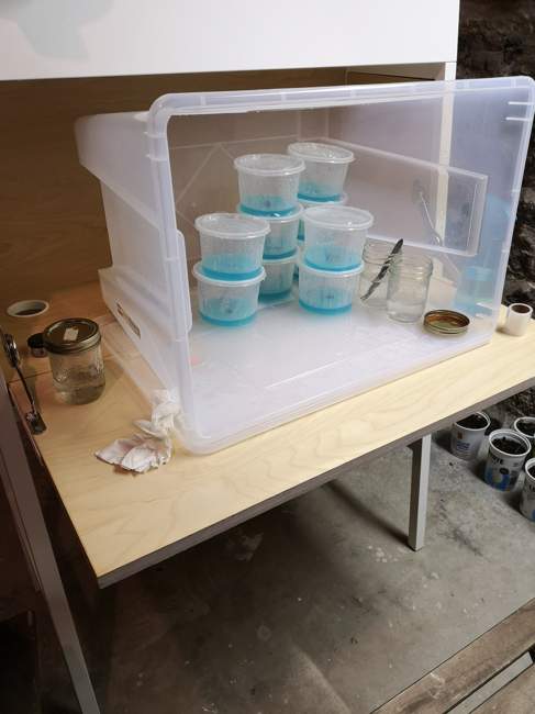 A home tissue culture setup with culture containers